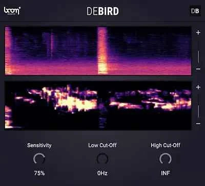 DEBIRD