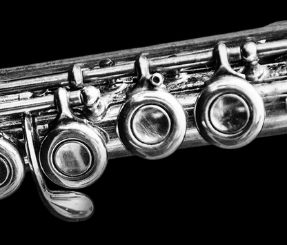 2004 FLUTE PLATINUS - hiroaudio.com