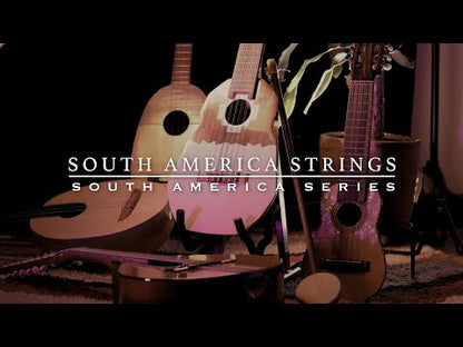 South America Strings